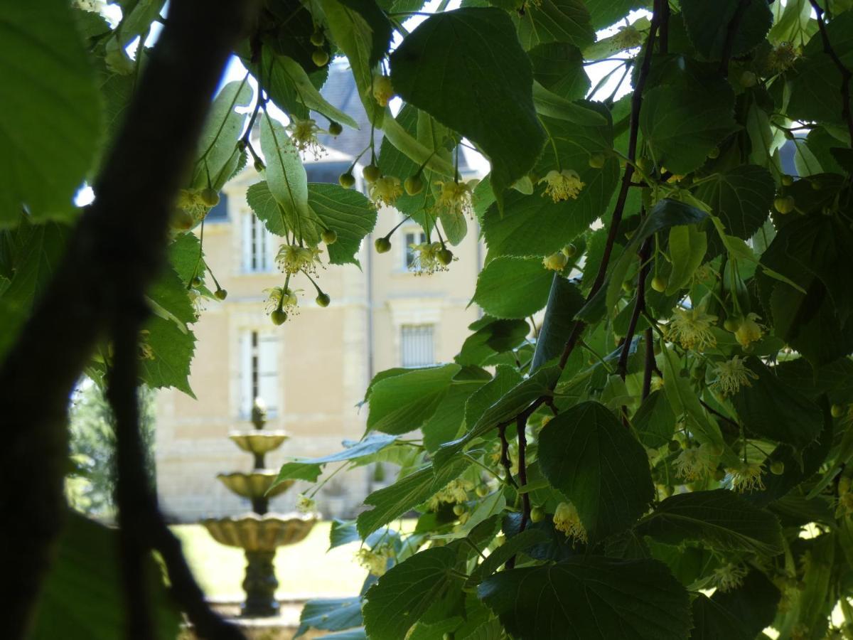 Château Marith - Etablissement climatisé avec Piscine Hotel Clairac  Exterior foto